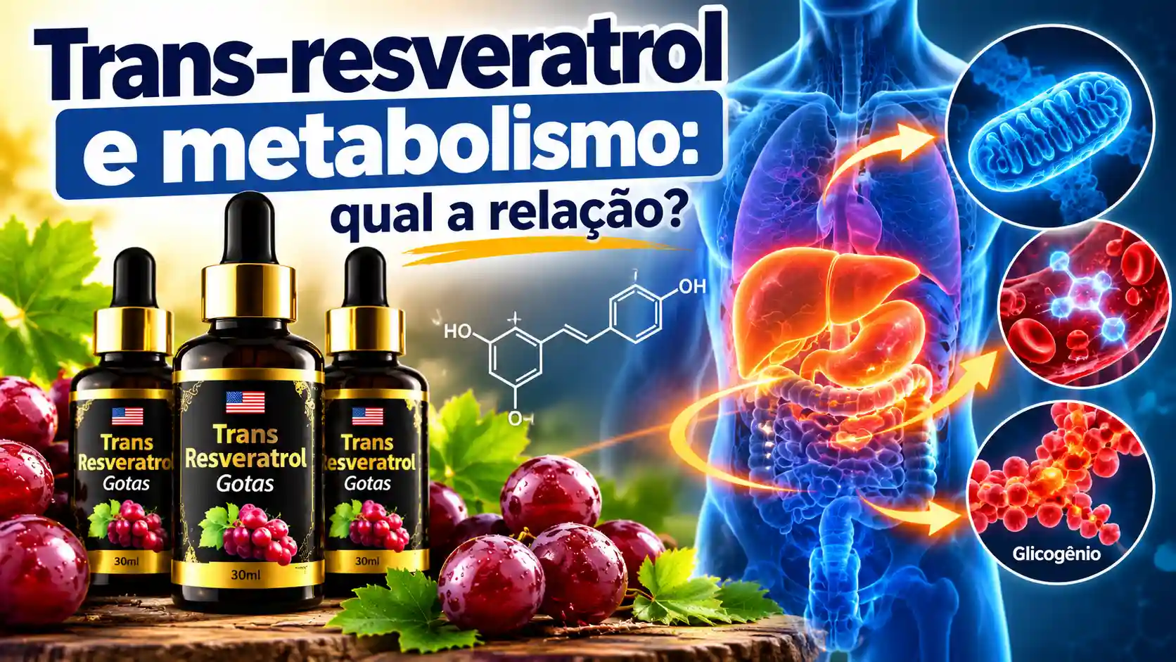 Trans-resveratrol e metabolismo energético com uvas, glicogênio e sistema digestivo